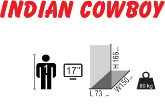 INDIAN COWBOY