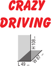 CRAZY DRIVING